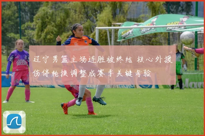 辽宁男篮主场连胜被终结 核心外援伤停轮换调整成赛季关键考验