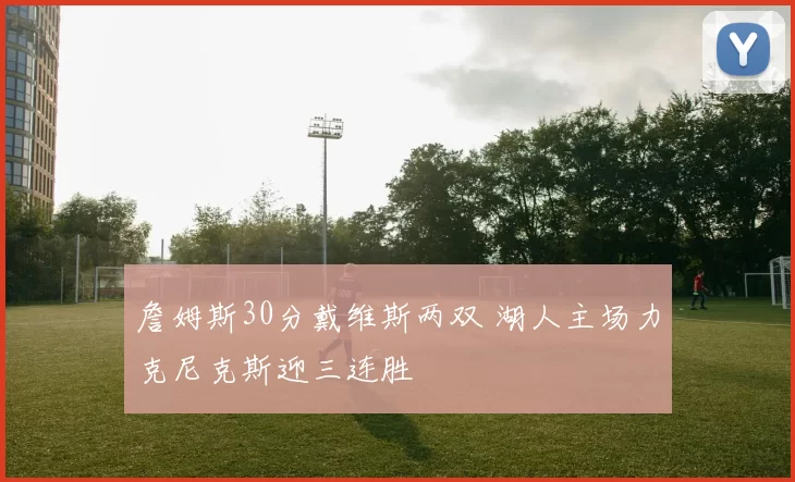 詹姆斯30分戴维斯两双 湖人主场力克尼克斯迎三连胜