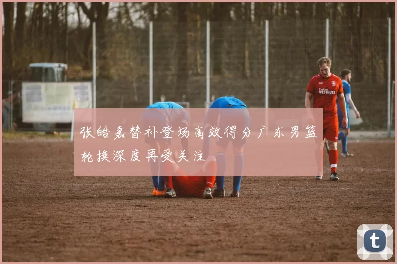 张皓嘉替补登场高效得分广东男篮轮换深度再受关注